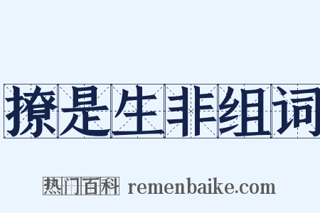 撩是生非组词是什么意思的图片
